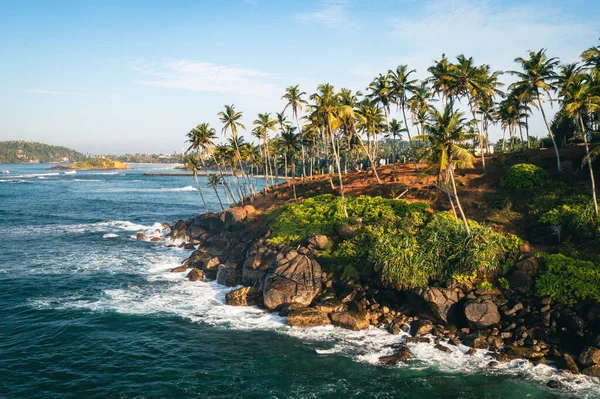 Hügel Aus Kokospalmen Strand Von Mirissa Sri Lanka — Stockfoto