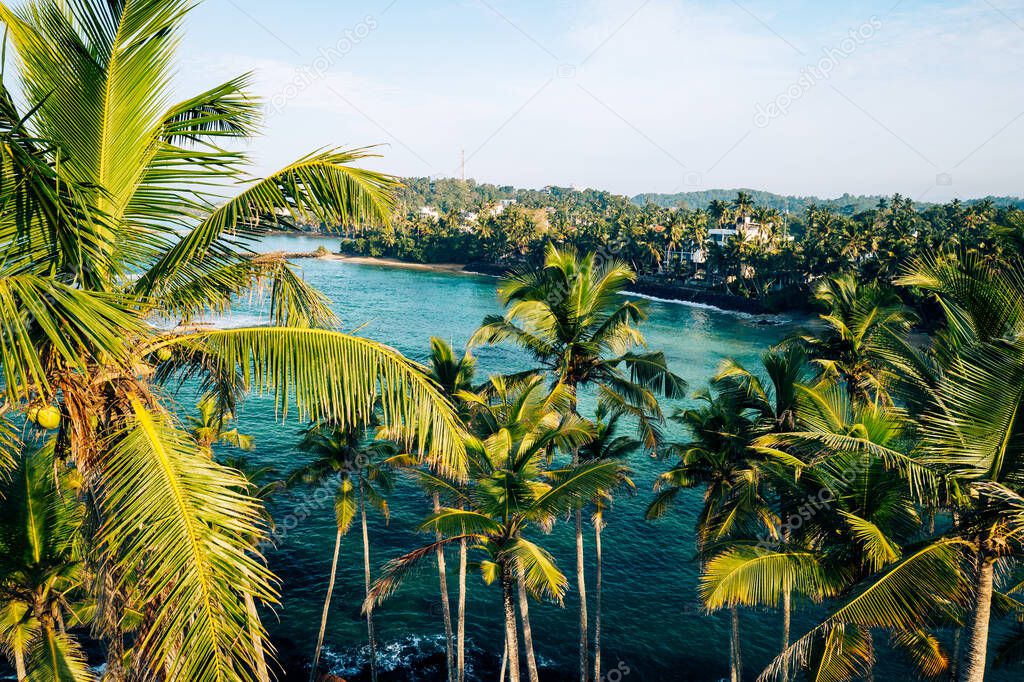 Coconut tree hill in Mirissa Beach. Sri Lanka.