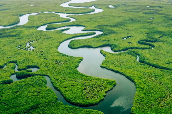 Ecosystem Healthy Environment Concepts Nature Background Tropical Rainforest Aerial Top — Stock Photo, Image