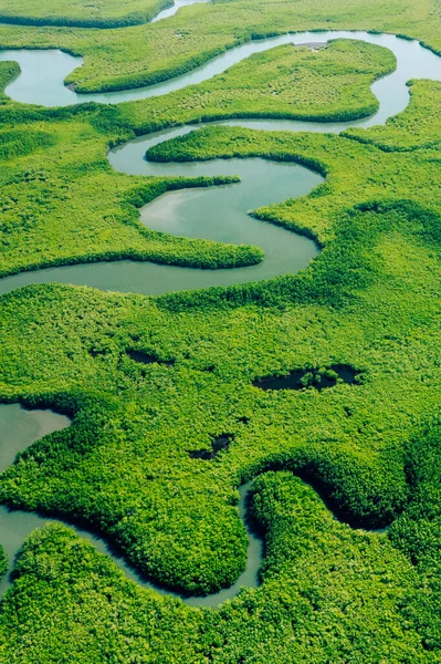 生态系统与健康环境 概念和自然背景 热带雨林 空中俯瞰 — 图库照片