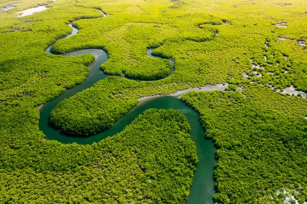 生態系と健康環境 概念と自然背景 熱帯雨林 空中トップ表示 — ストック写真