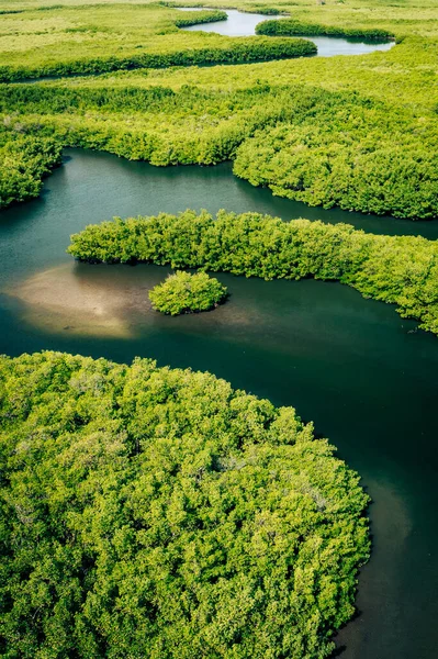 生態系と健康環境 概念と自然背景 熱帯雨林 空中トップ表示 — ストック写真