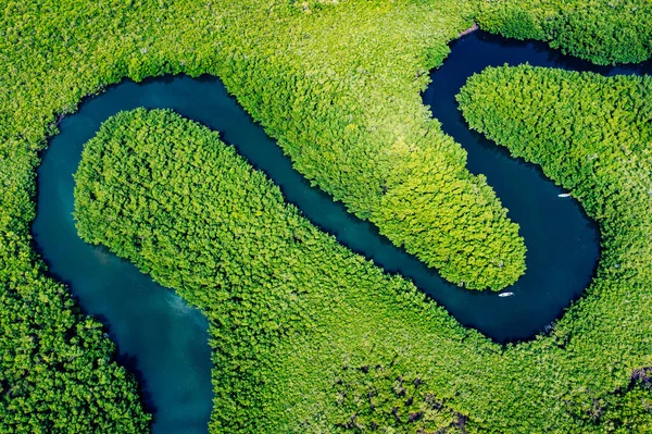 Ekosistem Sağlıklı Çevre Konseptler Doğa Arkaplanı Tropik Yağmur Ormanları Havadan — Stok fotoğraf