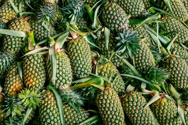 Ananas Hintergrund Viele Reife Gelbe Ananas Auf Dem Markt Sri — Stockfoto