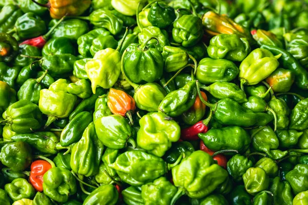 Několik Odrůd Tropické Zeleniny Úhledně Uspořádaných Prodeji Místním Trhu Srí — Stock fotografie