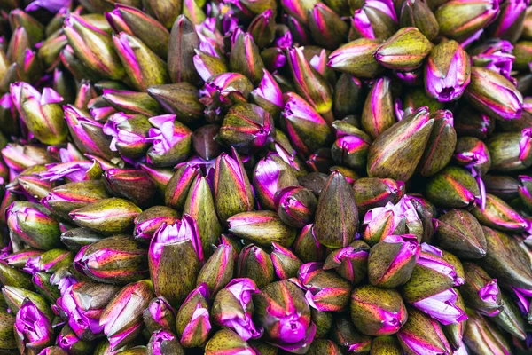 Mit Blumen Menschen Bringen Blumen Zum Tempel Kandy Sri Lanka — Stockfoto