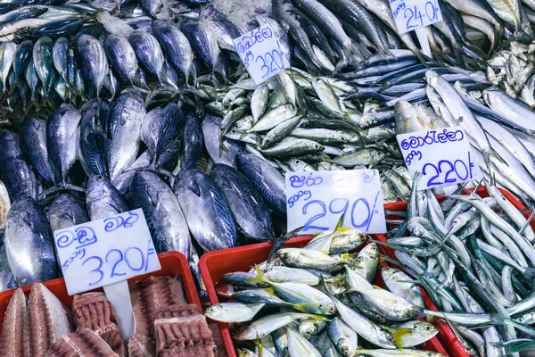 Kandy Deki Belediye Merkezi Marketi Balık Kuru Yiyecek Baharatlar Sri — Stok fotoğraf