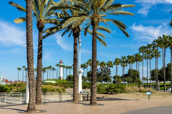 Φάρος Φοίνικες Στο Long Beach Καλιφόρνια Ηπα — Φωτογραφία Αρχείου