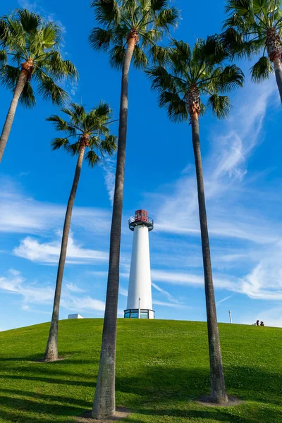 Leuchtturm Mit Palmen Langen Strand Kalifornien Usa — Stockfoto