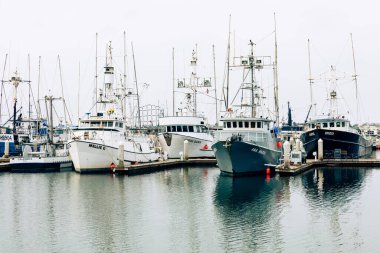 Yelkenli tekneleri olan San Diego rıhtımı. San Diego California, ABD 