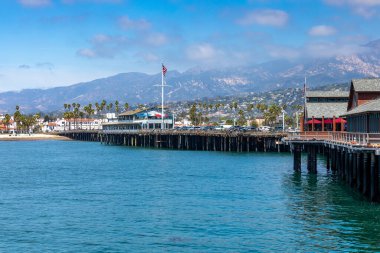 Santa Barbara, Kaliforniya sahilinde tropik yüksek palmiye ağaçları, ABD.