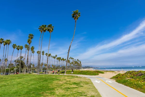 Высокие Пальмы Пляже Санта Барбары Калифорния Сша — стоковое фото