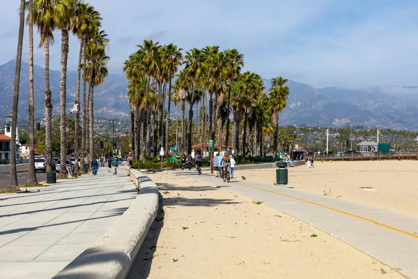 Tropical Tall Palm Trees Beach Santa Barbara California Usa — Stock Photo, Image