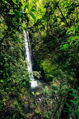 Cascada El Palto. Vilcabamba 'da şelale. Tropik Yeşil Yağmur Ormanı. Loja, Ekvador. Güney Amerika.