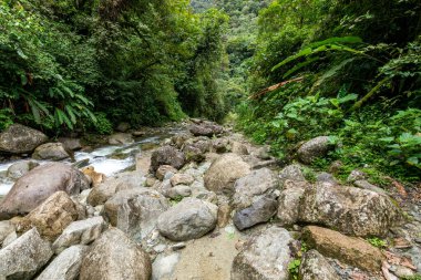 Santa Agua, Ekvador 'da El Roco Machay şelalesi. Güney Amerika.