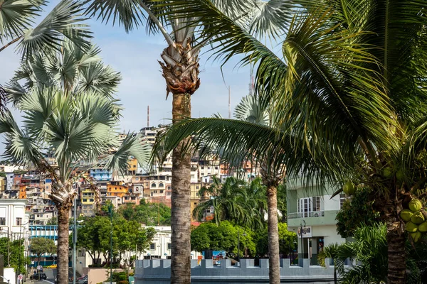Pohled Malecon 2000 Guayas River Guayaquil Druhé Největší Město Ekvádoru — Stock fotografie