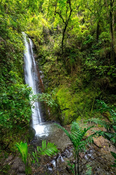 Cascada El Palto. Vilcabamba 'da şelale. Tropik Yeşil Yağmur Ormanı. Loja, Ekvador. Güney Amerika.