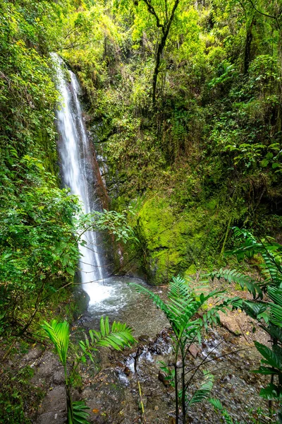 カサダ パルト ビルカバンバの滝 熱帯緑の熱帯雨林 エクアドルのロハ — ストック写真