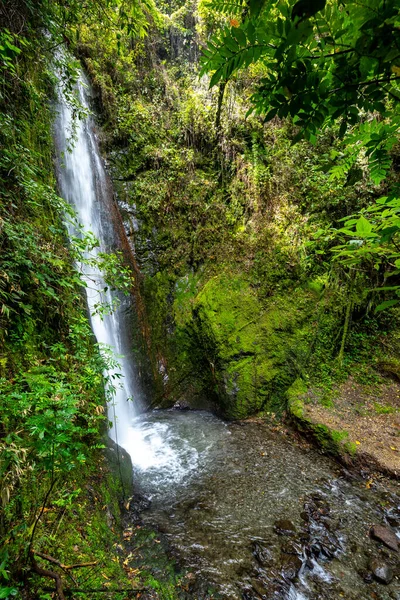 Cascada El Palto. Vilcabamba 'da şelale. Tropik Yeşil Yağmur Ormanı. Loja, Ekvador. Güney Amerika.