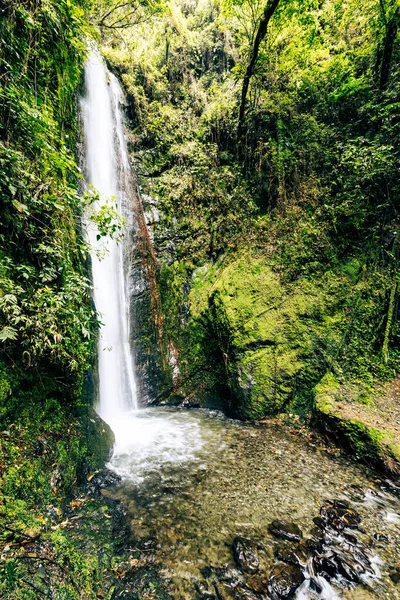 Каскада Эль Пальто Водопад Вилькабамбе Тропический Зеленый Тропический Лес Лоха — стоковое фото