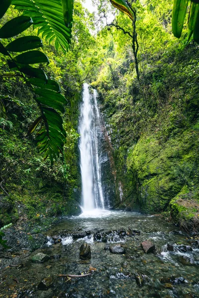 Cascada El Palto. Vilcabamba 'da şelale. Tropik Yeşil Yağmur Ormanı. Loja, Ekvador. Güney Amerika.