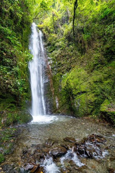 Cascada El Palto. Vilcabamba 'da şelale. Tropik Yeşil Yağmur Ormanı. Loja, Ekvador. Güney Amerika.
