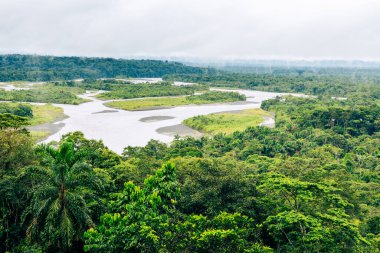 Ekvador Amazon yağmur ormanları yukarıdan. Pastaza nehri, Indichuris 'e yakın. Puyo, Ekvador, Güney Amerika. 
