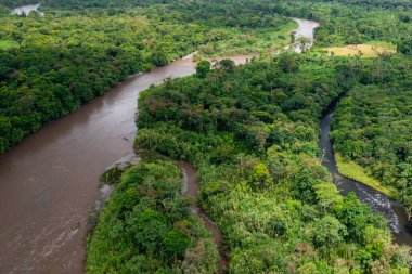 Ekvador Amazon yağmur ormanları yukarıdan. Pastaza nehri, Indichuris 'e yakın. Puyo, Ekvador, Güney Amerika. 