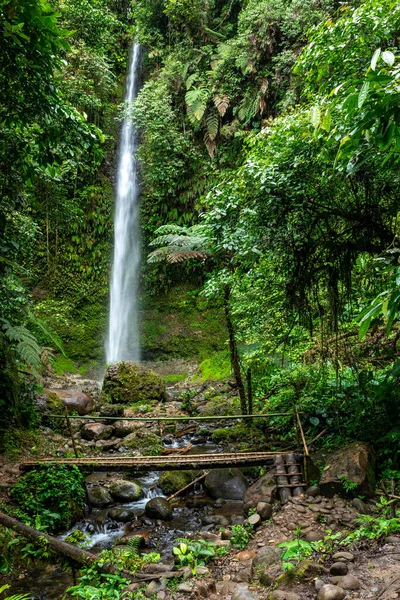 Cascada Hola Vida 普约的瀑布亚马逊的热带绿色雨林 厄瓜多尔 — 图库照片