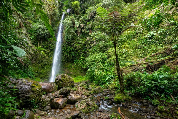 Cascada Hola Vida Cascada Puyo Selva Tropical Verde Amazonas Ecuador —  Fotos de Stock