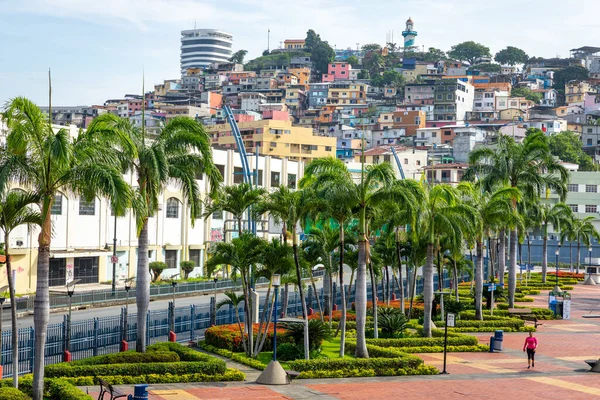 Guayaquil, Las Penas - Santa Ana Tepesi. Geleneksel koloni mimarisi Ekvador 'un ikinci büyük şehrinde. Popüler turizm merkezi.