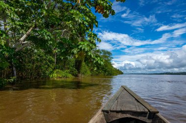 Amazon Yağmur Ormanları Nehir Kıyısı. Iquitos, Peru yakınlarındaki Amazon ormanında Yanayacu nehrinden denize açılıyoruz. Güney Amerika. 
