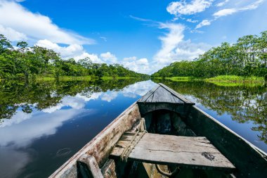 Amazon Yağmur Ormanları Nehir Kıyısı. Iquitos, Peru yakınlarındaki Amazon ormanında Yanayacu nehrinden denize açılıyoruz. Güney Amerika. 