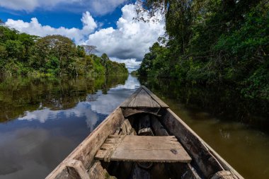 Amazon Yağmur Ormanları Nehir Kıyısı. Iquitos, Peru yakınlarındaki Amazon ormanında Yanayacu nehrinden denize açılıyoruz. Güney Amerika. 