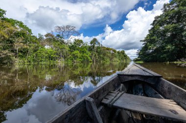 Amazon Yağmur Ormanları Nehir Kıyısı. Iquitos, Peru yakınlarındaki Amazon ormanında Yanayacu nehrinden denize açılıyoruz. Güney Amerika. 