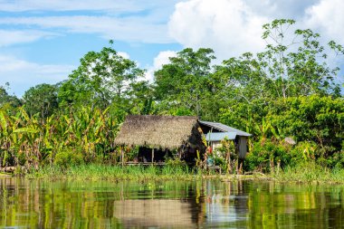 Amazon Yağmur Ormanları Nehir Kıyısı. Iquitos, Peru yakınlarındaki Amazon ormanında Yanayacu nehrinden denize açılıyoruz. Güney Amerika. 
