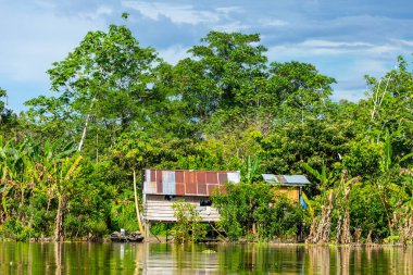 Amazon Yağmur Ormanları Nehir Kıyısı. Iquitos, Peru yakınlarındaki Amazon ormanında Yanayacu nehrinden denize açılıyoruz. Güney Amerika. 