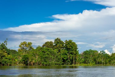 Amazon Yağmur Ormanları Nehir Kıyısı. Iquitos, Peru yakınlarındaki Amazon ormanında Yanayacu nehrinden denize açılıyoruz. Güney Amerika. 