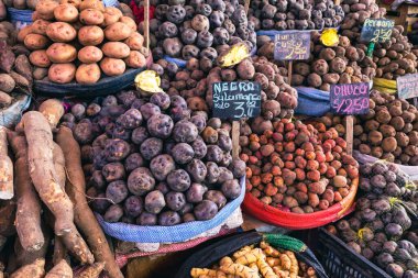 Arequipa 'da geleneksel Peru patates pazarı, Per. Peru 'nun dağlık kesimlerinde (And Dağları) muazzam çeşitlilikteki patatesler).