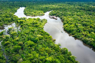 Güney Amerika, Peru 'daki Amazon yağmur ormanlarının havadan görünüşü. Yeşil orman. Kuş bakışı. Peru 'da Orman. 
