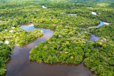 Güney Amerika, Peru 'daki Amazon yağmur ormanlarının havadan görünüşü. Yeşil orman. Kuş bakışı. Peru 'da Orman. 
