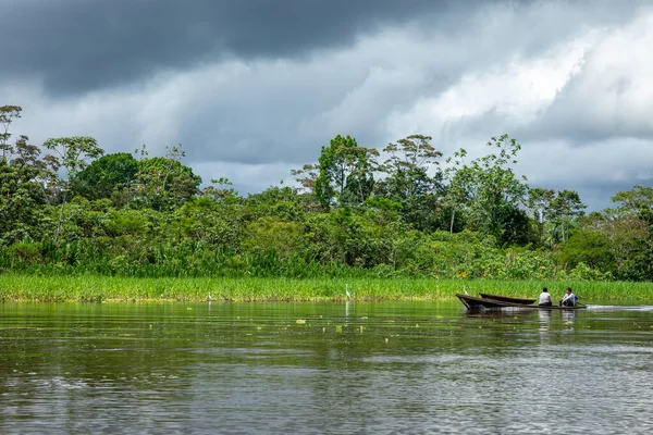 Amazon Yağmur Ormanları Nehir Kıyısı Iquitos Peru Yakınlarındaki Amazon Ormanında — Stok fotoğraf
