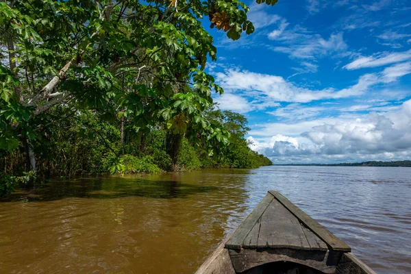 Amazon Rainforest Riverbank Navegando Rio Abaixo Yanayacu Selva Amazônica Perto — Fotografia de Stock