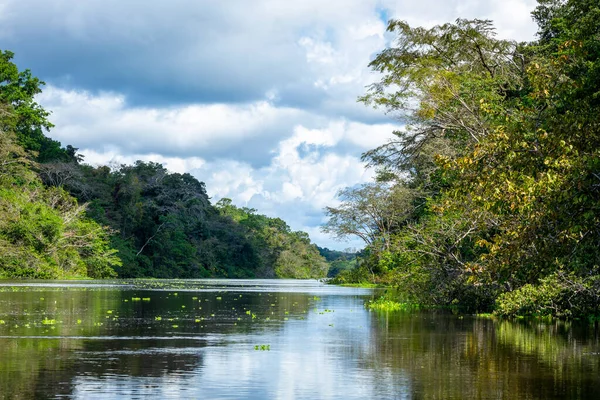 亚马逊雨林河岸 沿着Yanayacu河航行在秘鲁伊基托斯附近的亚马逊丛林 — 图库照片