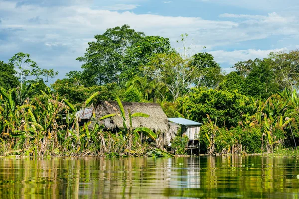 亚马逊雨林河岸 沿着Yanayacu河航行在秘鲁伊基托斯附近的亚马逊丛林 — 图库照片
