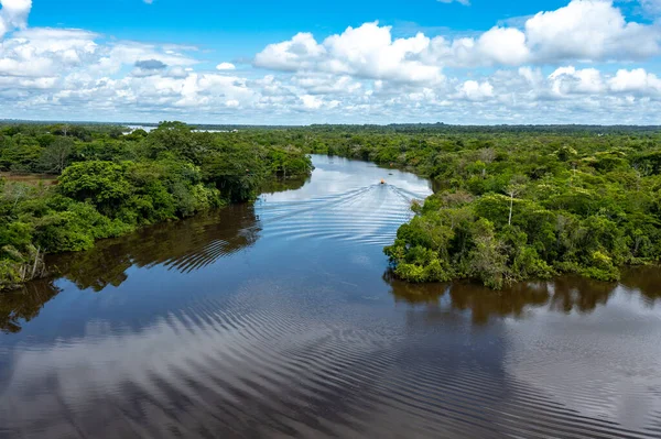 Aerial View Amazon Rainforest Peru South America Green Forest Bird — Stock Photo, Image