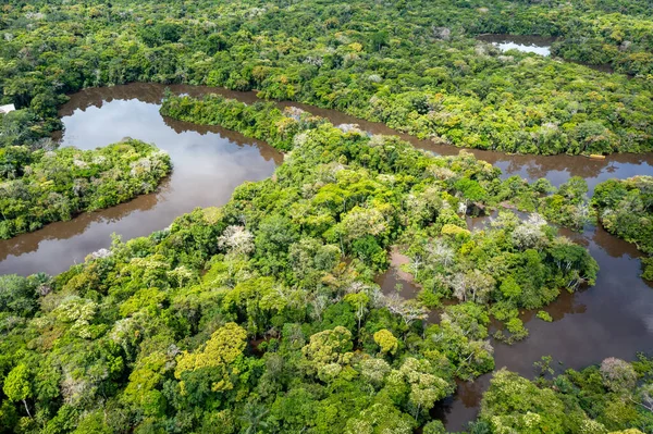 Güney Amerika Peru Daki Amazon Yağmur Ormanlarının Havadan Görünüşü Yeşil — Stok fotoğraf