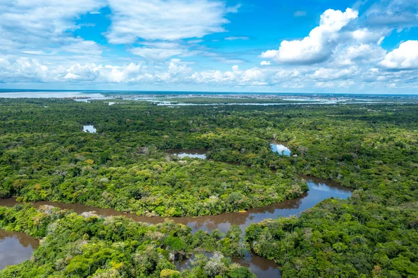 Widok Lotu Ptaka Amazonii Peru Ameryka Południowa Zielony Las Lotu — Zdjęcie stockowe