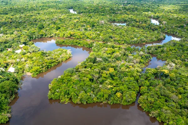 Veduta Aerea Della Foresta Amazzonica Perù Sud America Foresta Verde — Foto Stock
