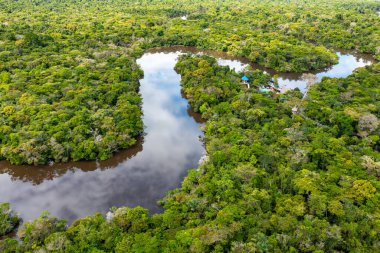 Güney Amerika, Peru 'daki Amazon yağmur ormanlarının havadan görünüşü. Yeşil orman. Kuş bakışı. Peru 'da Orman. 